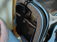 -宠福鑫动物医院(城北分院)