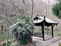-青城山
