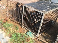 -东戴河风景区-止锚湾