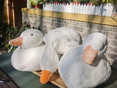 -三忘湖 SWANSEEN(柳荫公园店)