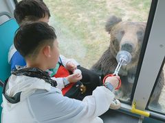 -鄂尔多斯野生动物园