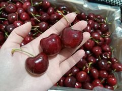 -南京众彩农副产品配送有限公司