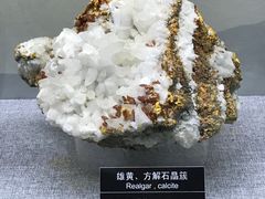 景点-甘肃地质博物馆