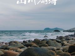 -广东惠东海龟国家级自然保护区