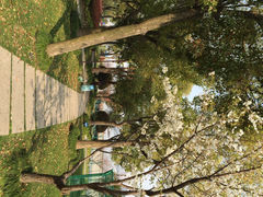 iphone_upload_pic-北外滩滨江绿地
