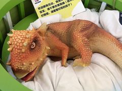 -汉堡王(新城吾悦广场店)