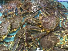 -渔民新村(番禺总店)