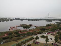 -芒洲湿地公园