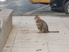 -Jumphai室内蹦极运动