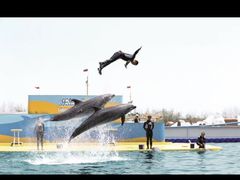 -秦皇岛乐岛海洋王国