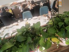 -金陵后厨·南京菜(新街口秣陵路店)