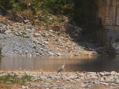 -红井路游艺炖锅·音乐餐吧(十渡店)