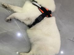 -中国体育彩票(竞彩店)