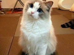 android_upload_pic-塘沽大剧院