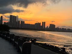 -深圳湾公园(南山区)