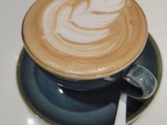 -飞行喵MR PILOT|猫舍·猫咖(静安大融城店)