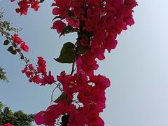 -华南国家植物园-售票处