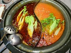-生活如沸·顺德水牛奶火锅(大学路店)