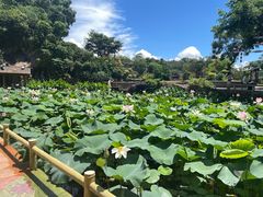 -广州莲花山旅游区