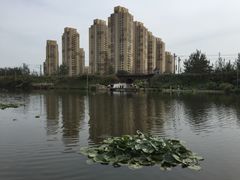 -前关湿地公园