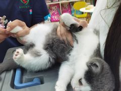 -乐琪宠物医院·犬猫专科·骨外科·急重症