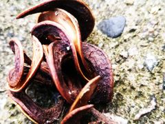 景点-求水山公园