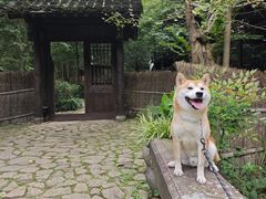 -黄公望隐居地