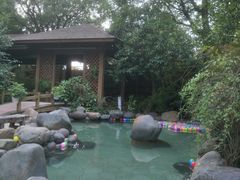 -金凤凰温泉度假村·凤凰汇中餐厅