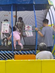 -莫莉幻想儿童乐园(天津熙悦汇店)