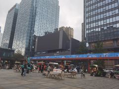 -合景·悠方(成都店)