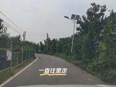 -老象峰