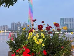 -海心沙亚运公园
