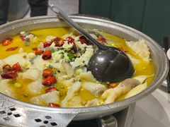 -刘胖子家常菜·蹄花焖藕(中南店)