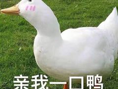 -Dr.Z dental仁康种植矫正中心