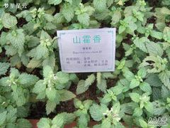 -广州神农草堂中医药博物馆