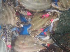 -宾朋海鲜特色美食餐厅·纯手工鲅鱼水饺(兴海路店)