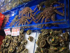 水产区-盛港湾海鲜食府(黄沙店)