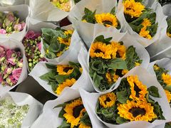 -循礼门鲜花花市(武汉循礼门店)