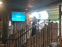 -珠海长隆海洋王国-鹦鹉过山车