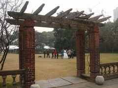 DSC03827-上海瑞金洲际酒店