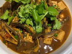 -臭鳜鱼人家·老字号徽菜