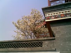 景点-菖蒲河公园