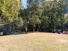 -苏州河梦清园环保主题公园