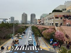 -台场海滨公园船码头