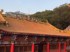 -东莞市大岭山森林公园