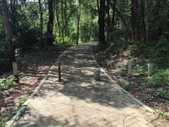 -青龙山国家森林公园