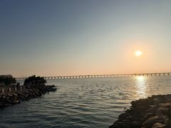 -宝安西湾红树林湿地公园