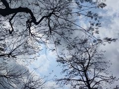 -广州市白云山风景名胜区