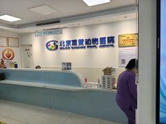 -北京观赏动物医院·24小时大型综合·猫专科·异宠专科