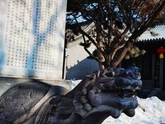 -护国法轮寺